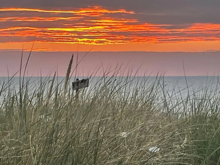 Daire Satori Lodge Near The Dunes & The Beach Zandvoort Hollanda