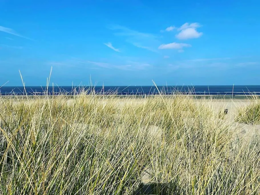 Daire Satori Lodge Near The Dunes & The Beach Zandvoort