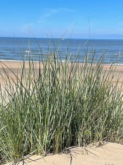Satori Lodge Near The Dunes & The Beach Zandvoort 0*,  Hollanda