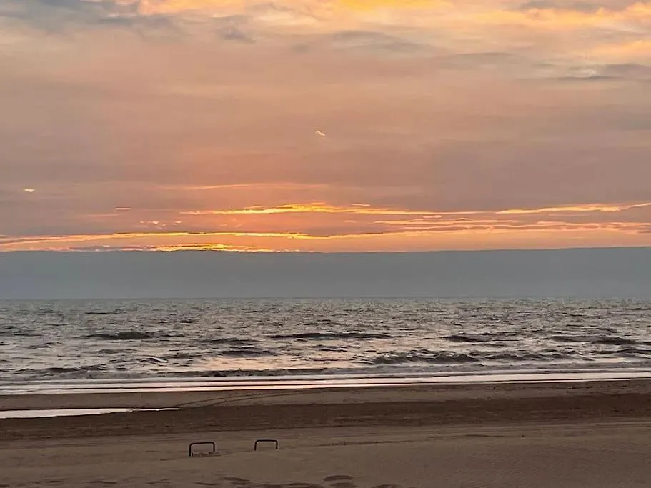 Satori Lodge Near The Dunes & The Beach Zandvoort Daire